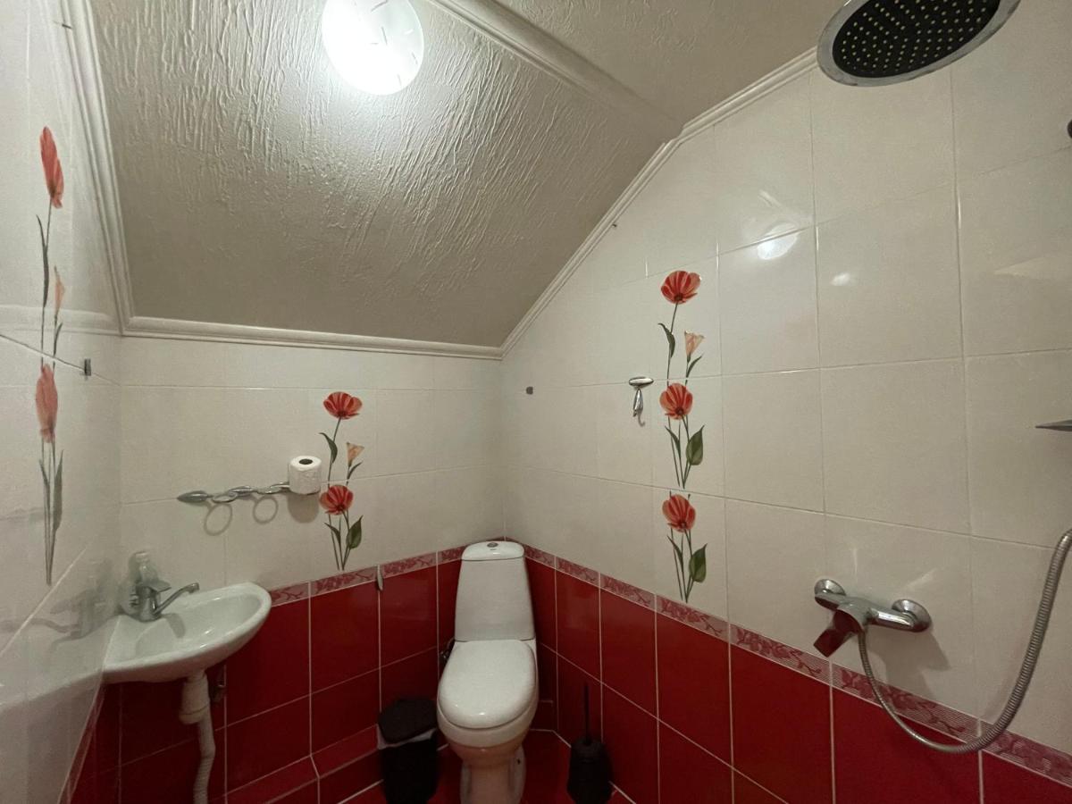 Villa Aeroport Розовый Дом Chisinau Bagian luar foto